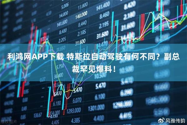 利鸿网APP下载 特斯拉自动驾驶有何不同?副总裁罕见爆料!
