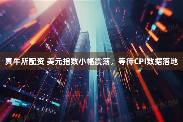 真牛所配资 美元指数小幅震荡,等待CPI数据落地