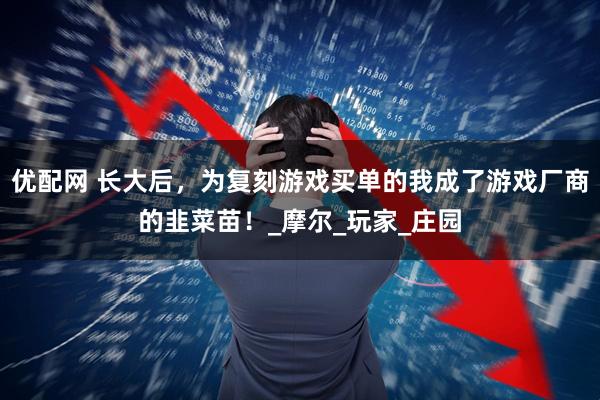 优配网 长大后，为复刻游戏买单的我成了游戏厂商的韭菜苗！_摩尔_玩家_庄园