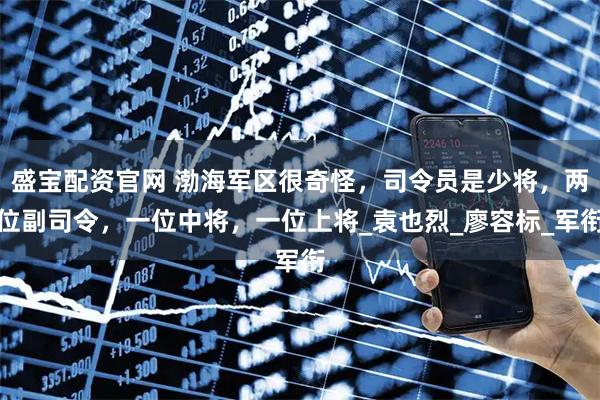 盛宝配资官网 渤海军区很奇怪，司令员是少将，两位副司令，一位中将，一位上将_袁也烈_廖容标_军衔